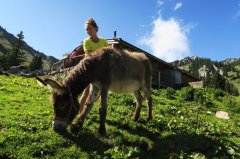 20210904-amigo-krottenthaler-alm-12.jpg